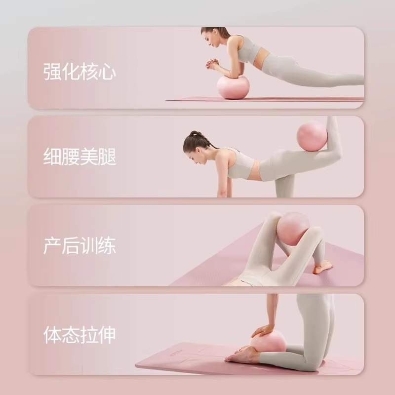 Women Gym Yoga Fitness Ball Th - đánh giá và giá Pilates Ball Mini