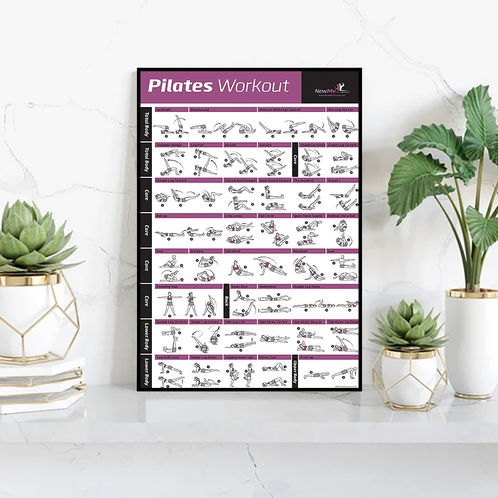 Pilates Training Chart Canvas  - đánh giá và giá Pilates Yoga Gifts
