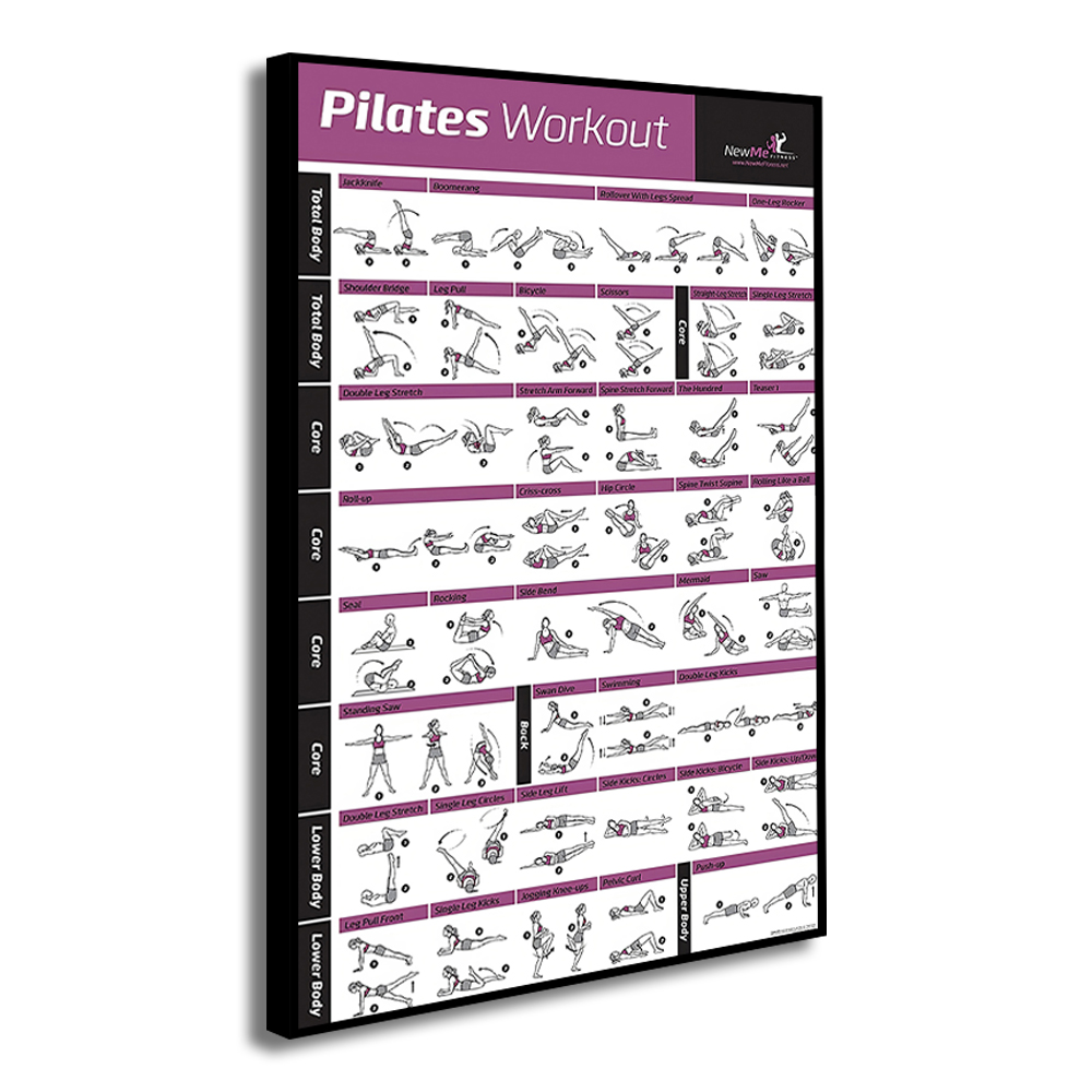 Pilates Training Chart Canvas  - đánh giá và giá Pilates Yoga Gifts